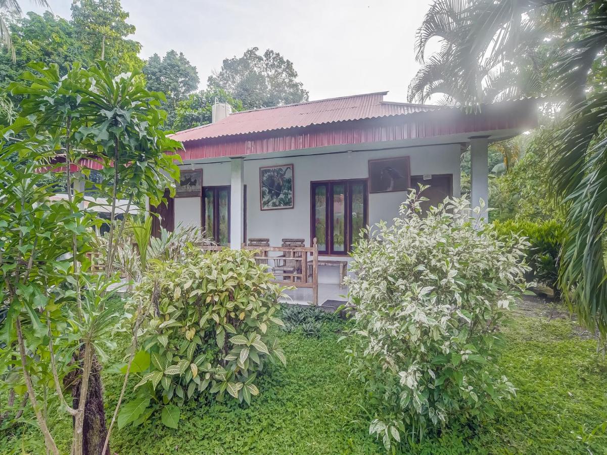Rinondoran Oyo 90988 Tangkoko Jungle Homestay מראה חיצוני תמונה