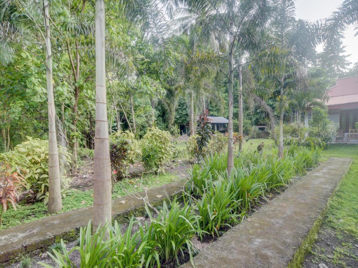 Rinondoran Oyo 90988 Tangkoko Jungle Homestay מראה חיצוני תמונה