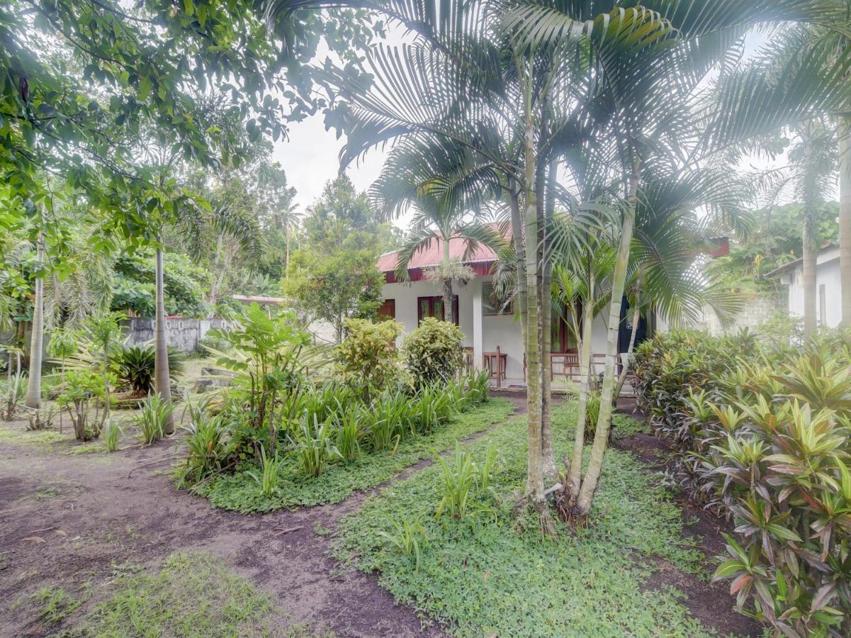Rinondoran Oyo 90988 Tangkoko Jungle Homestay מראה חיצוני תמונה